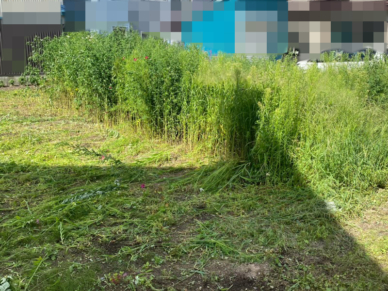 草刈り